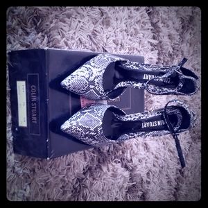 Colin Stuart heels